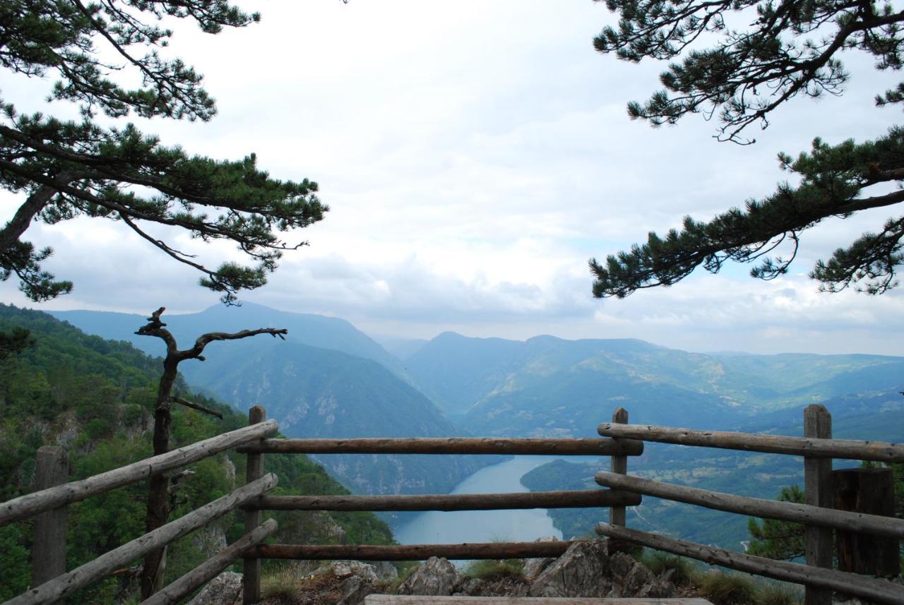 Tarski Dom Zaovine エクステリア 写真