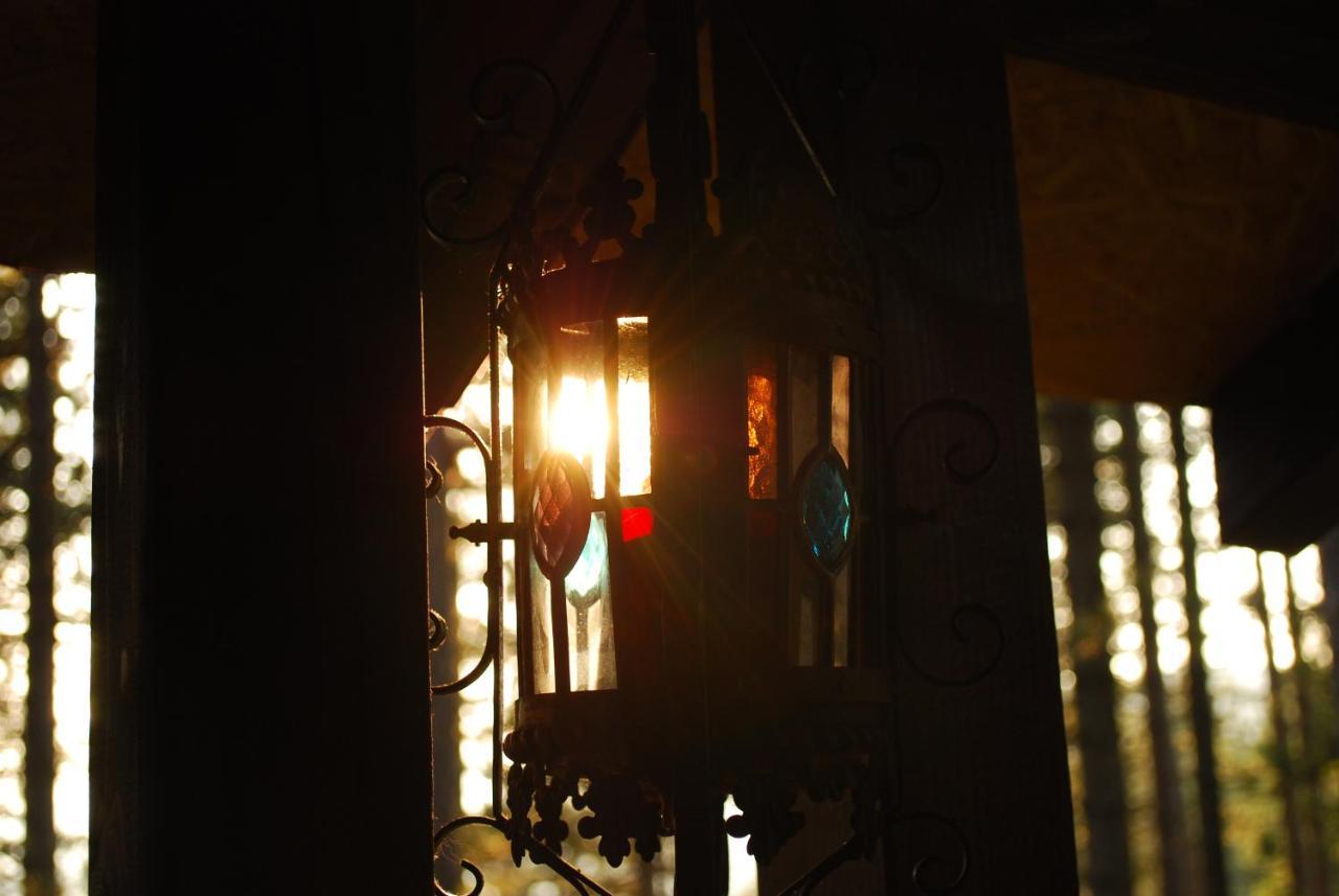 Tarski Dom Zaovine エクステリア 写真